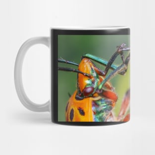 Unique and organic photo of a red shield bug playing the flute! Mug